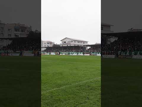 Aşk laftan anlamaz ki! 🐊#sporbursatr #bursapor