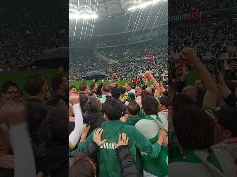 +3 🐊 #sporbursatr #bursaspor