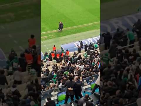 Bursaspor Başkanı Enes Çelik, gol sonrası böyle sevindi! 🐊 #sporbursatr #bursaspor