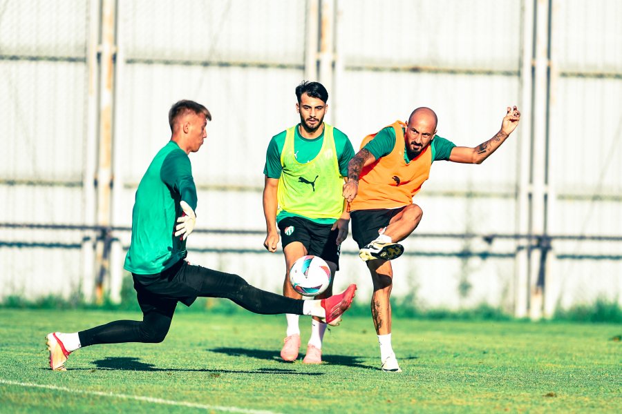 Timsah taktik çalıştı