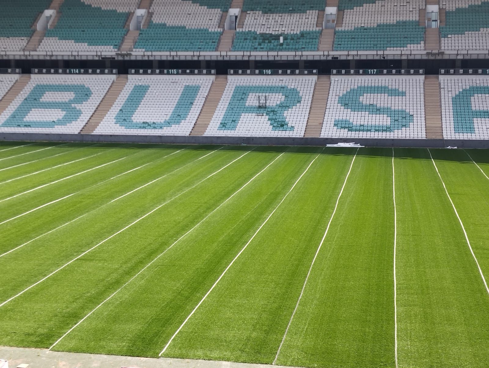 Timsah Arena halı gibi!