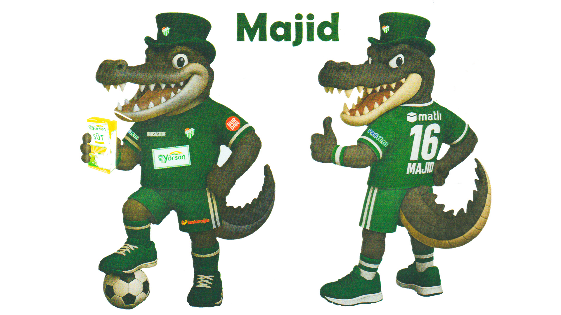 İşte Bursaspor'un Maskot Timsah'ı; Adı Majid