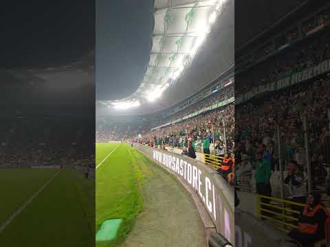 Hep beraber Bursaspor 🐊 #sporbursatr #bursaspor