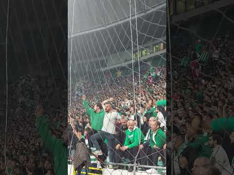 Bursa Gol Gol Gol 📢🐊 #sporbursatr #bursaspor