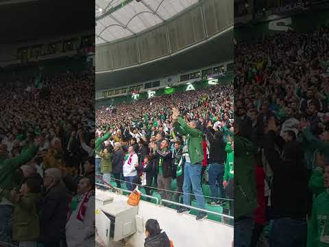 Kral biziz bu alemde! 🐊📢 #bursaspor #sporbursatr