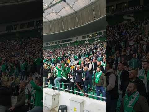 🐊📢 #bursaspor #sporbursatr