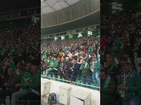 Hep beraber Bursaspor!🐊 #bursaspor #sporbursatr