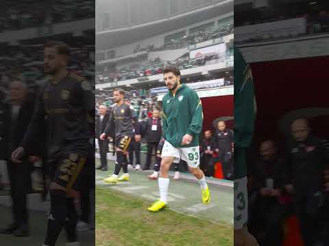 Timsah sahaya çıkıyor! 🐊#bursaspor #sporbursatr