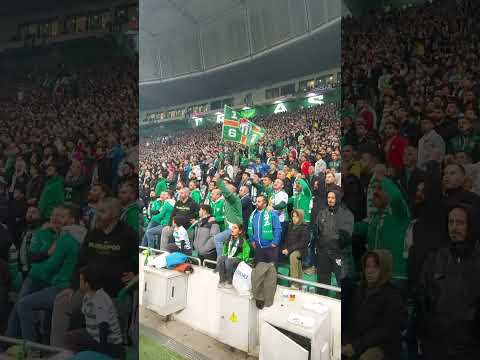 Bursa gol gol gol! 📢🐊 #bursaspor #sporbursatr