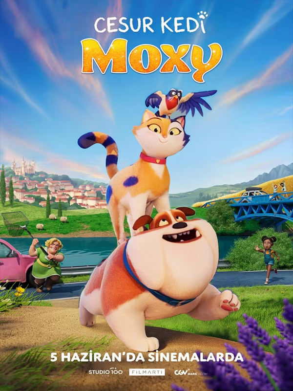 Cesur Kedi Moxy - Spor Bursa, Türkiye ve dünyadan tüm spor haberleri