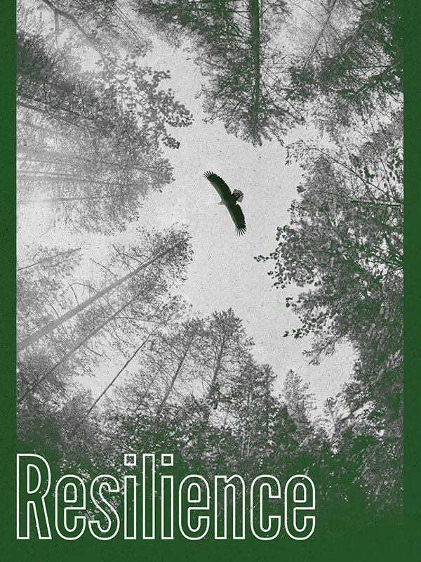 Dayanma Gücü - Spor Bursa, Türkiye ve dünyadan tüm spor haberleri