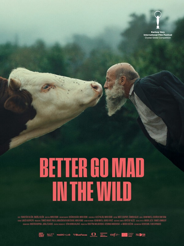 Festival - Doğada Delirmek Daha İyi - Spor Bursa, Türkiye ve dünyadan tüm spor haberleri