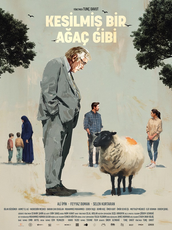 Festival - Kesilmiş Bir Ağaç Gibi - Spor Bursa, Türkiye ve dünyadan tüm spor haberleri