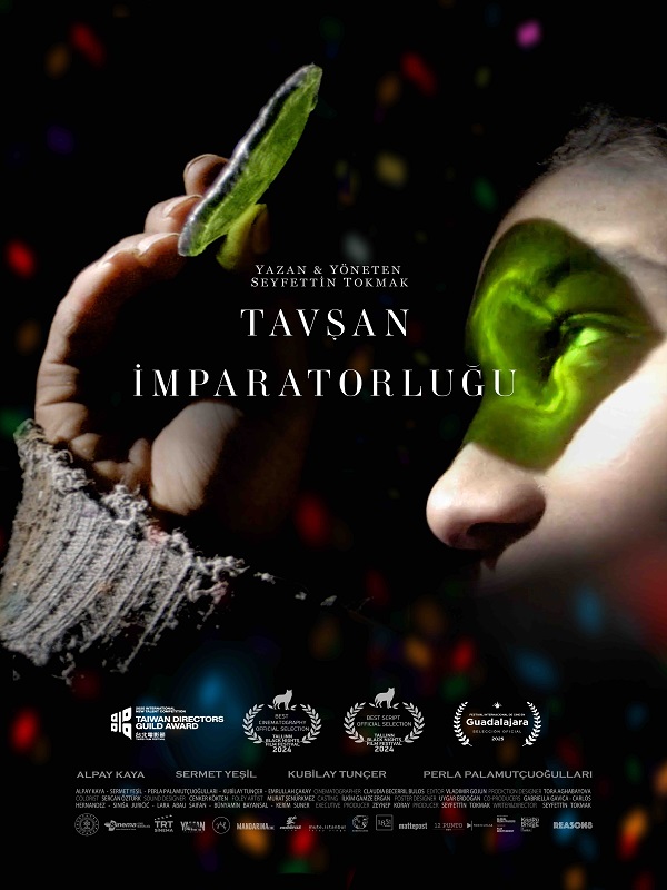 Festival - Tavşan İmparatorluğu - Spor Bursa, Türkiye ve dünyadan tüm spor haberleri