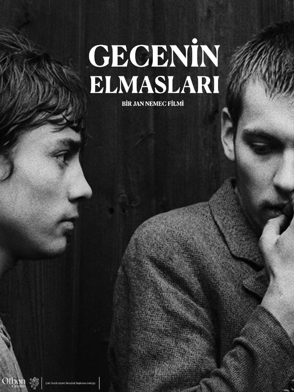 Gecenin Elmasları - Spor Bursa, Türkiye ve dünyadan tüm spor haberleri