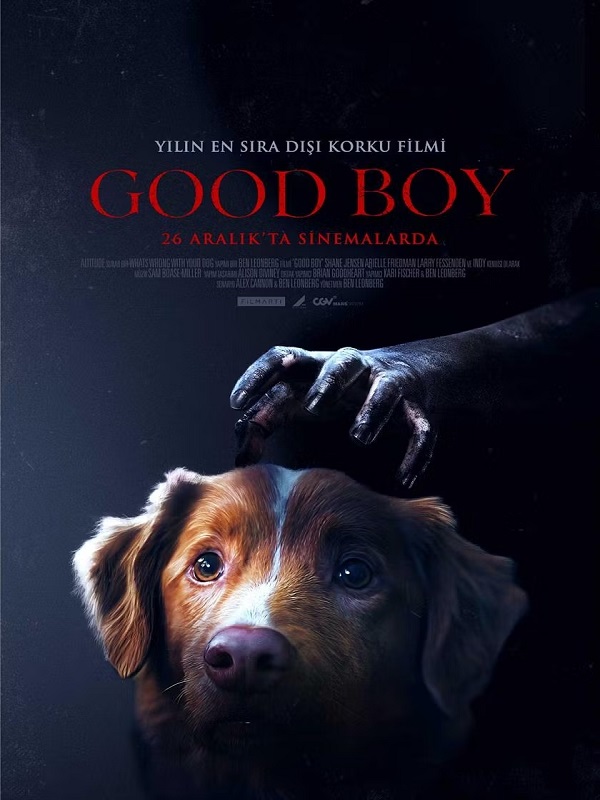 Good Boy - Spor Bursa, Türkiye ve dünyadan tüm spor haberleri