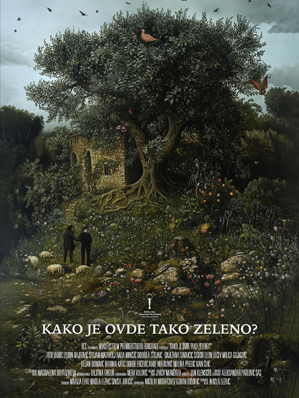 Kako je ovdje tako zeleno? - Spor Bursa, Türkiye ve dünyadan tüm spor haberleri