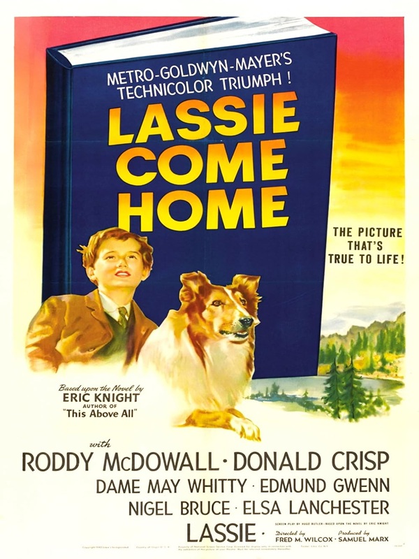 Lassie se vraća kući (1943.) - Spor Bursa, Türkiye ve dünyadan tüm spor haberleri