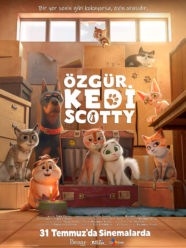 Özgür Kedi Scotty - Spor Bursa, Türkiye ve dünyadan tüm spor haberleri