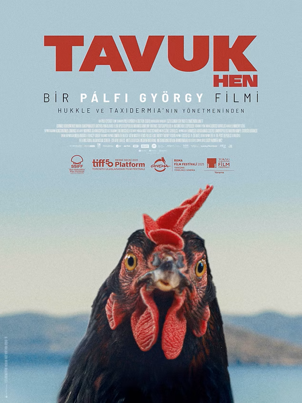 Tavuk - Spor Bursa, Türkiye ve dünyadan tüm spor haberleri