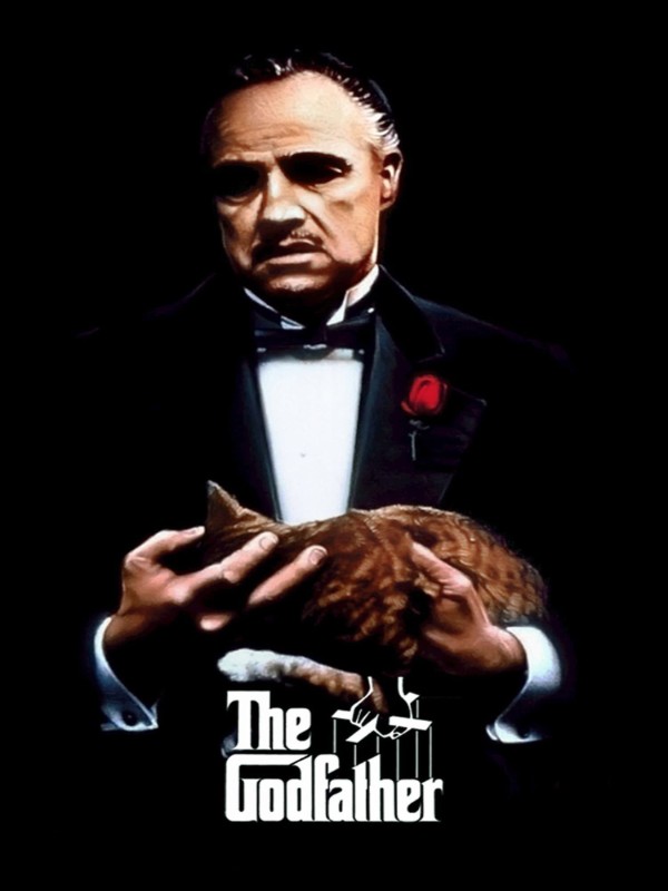 The Godfather - Spor Bursa, Türkiye ve dünyadan tüm spor haberleri